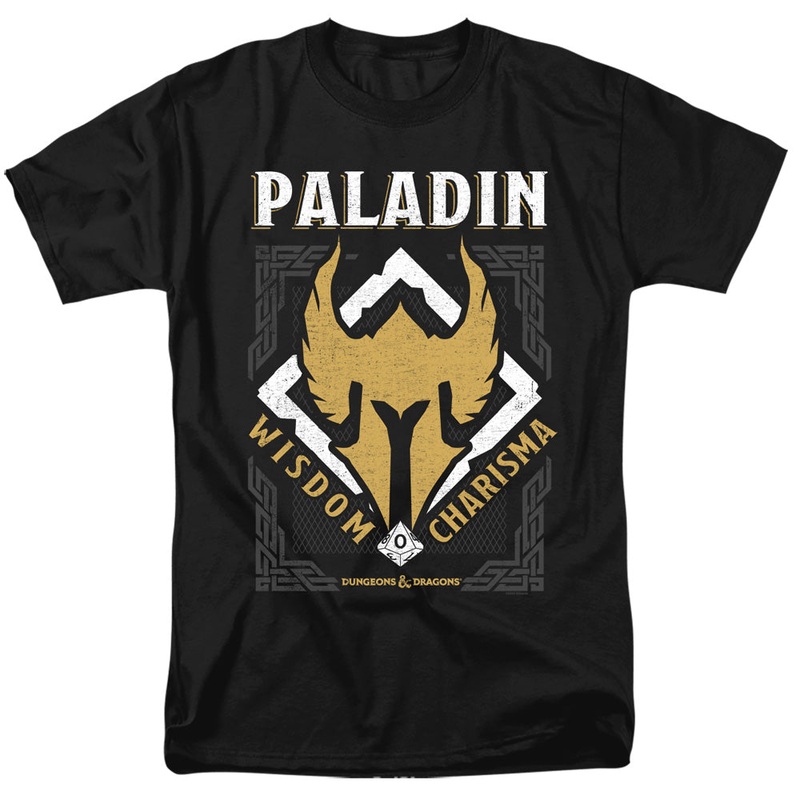 Dungeons & Dragons Paladin T-Shirt